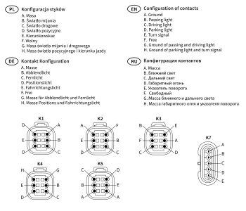 RGV1C-FF headlamps with direction indicator LHT